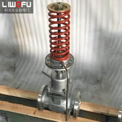 自力式壓力調(diào)節(jié)閥：科技引領(lǐng)，壓力控制新篇章